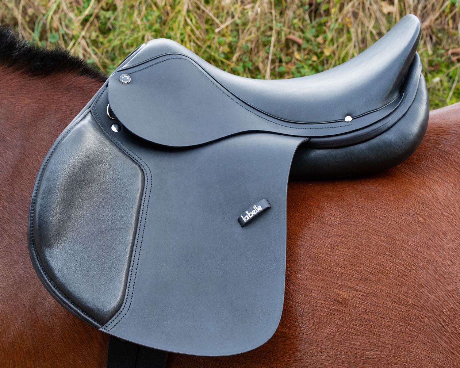 Der neue Fribisattel