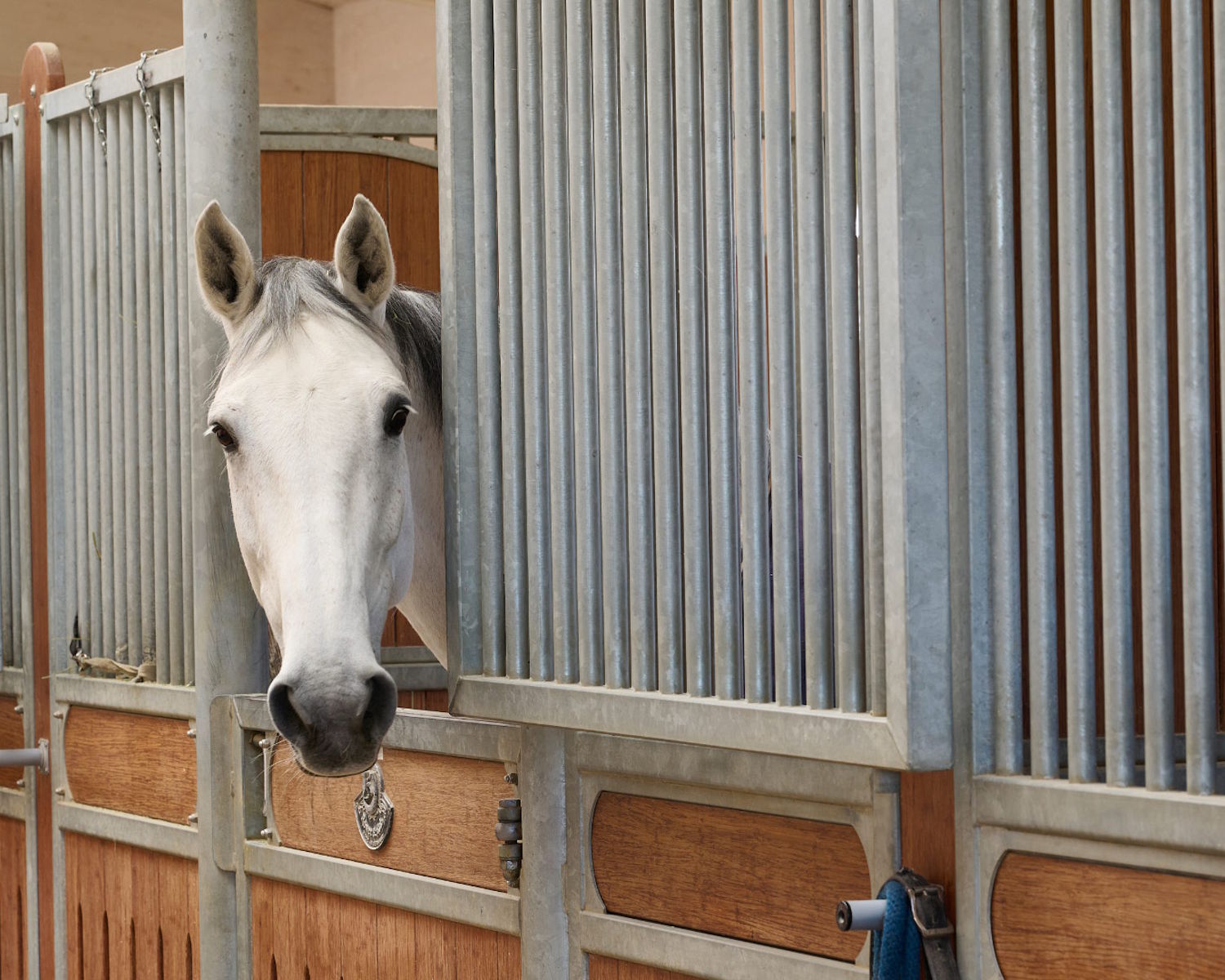Tag der offenen Tür